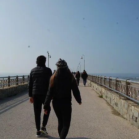 Versilia Apartment